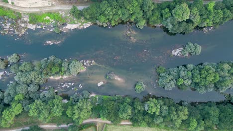 aerial view of river lima with green foliage in ponte de lima, portugal