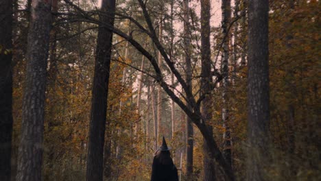 witch is walking in the woods walking with her broomstick, fantasy role-play concept