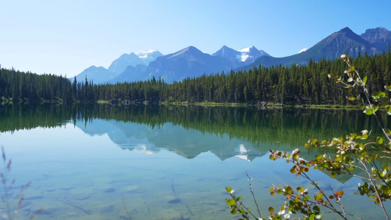 summer clear peace lake view with beautiful mountain range and clear blue sky in summer holiday in Herbert lake in banff national park,Alberta,Canada