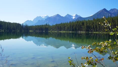 summer clear peace lake view with beautiful mountain range and clear blue sky in summer holiday in herbert lake in banff national park,alberta,canada