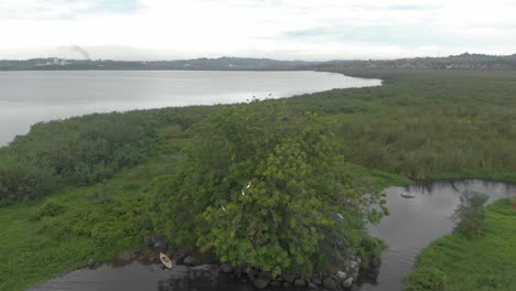 Toma-Aérea-Que-Muestra-Un-Kayak-Descansando-En-Una-Isla-En-El-Lago-Victoria-Con-Un-Gran-árbol-Rodeado-De-Pantanos