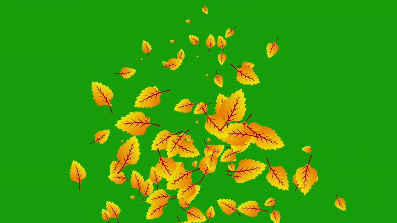 Foglie d'autunno che cadono su sfondo green screen