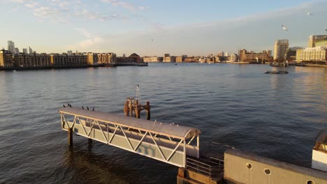 tiro ascendente de gaviotas y pájaros voladores sobre el río támesis durante la puesta de sol