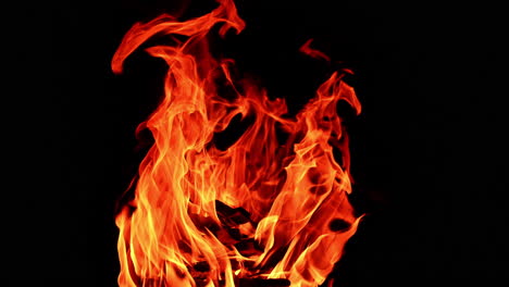 chops of wood piled in a stack burn in the campfire. isolated view of bonfire burning at night.