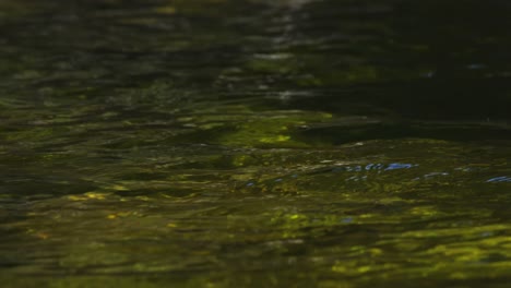 Nahaufnahme-Der-Flusswasseroberfläche