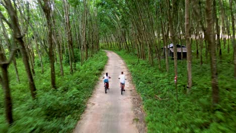 a couple of men and women on bicycle in the jungle of koh yao yai thailand, men and woman bicycling alongside a rubber plantation in thailand.