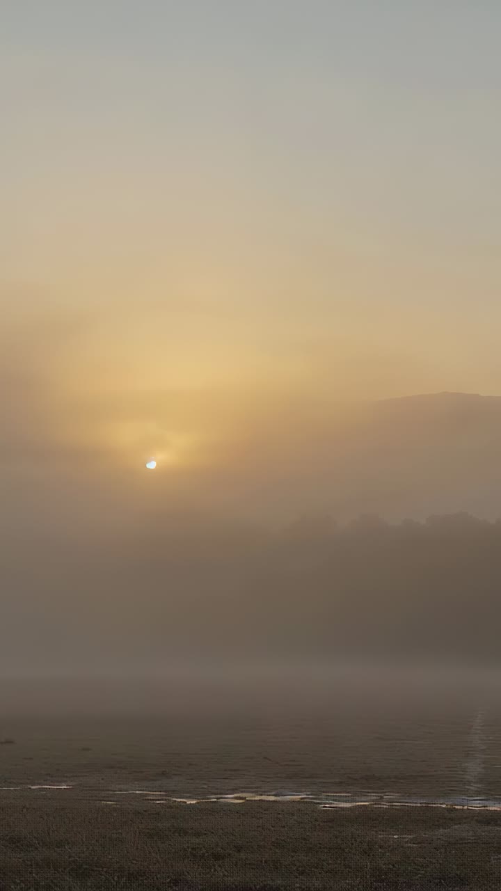 Vertical video: Rising sun climbing above ridge, dawn urging fog thinning and showing marsh puddles