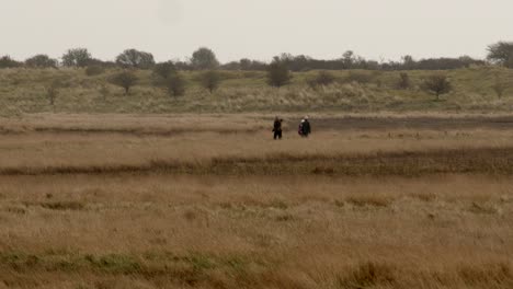 People-passing-each-other-walking-though-Gibraltar-Point-Nature-reserve-altar-Point