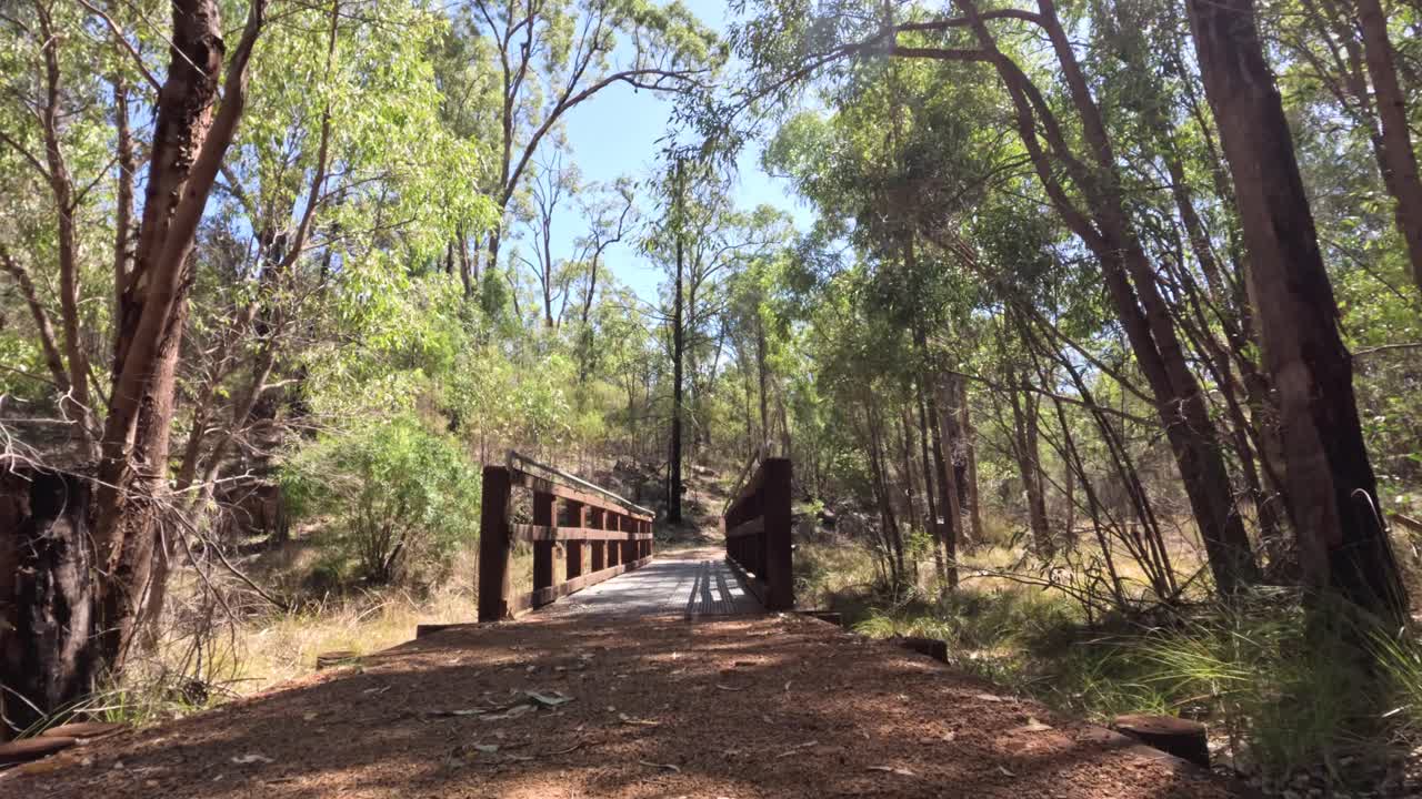 persona caminando a través de un puente en el bosque