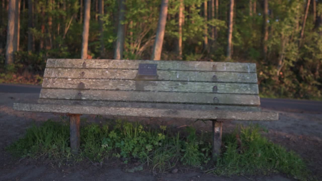 Weathered Wooden Bench In A Quiet Park - slow motion shot