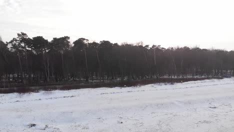 Luftaufnahme-Des-Sandstrandes-Und-Des-Borealen-Waldes-In-Ustka-Im-Winter