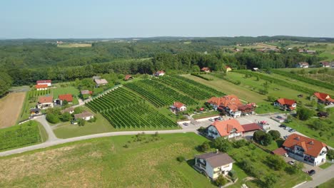 Ein-Kleines-Dorf-In-Slowenien,-Europa