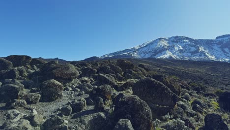 wide shot captures the snow-capped peak of mount kilimanjaro towering over a rugged volcanic plain of volcanic rocks, set against a clear blue sky