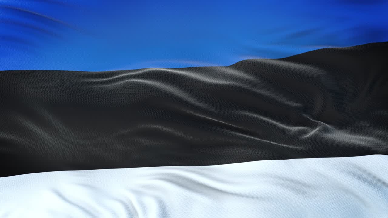 에스토니아의 발이 바람에 흔들리고 매우 상세한 직물 질감으로.