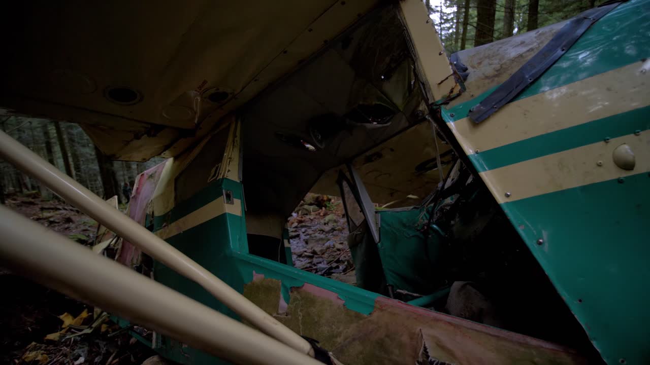 Resti di un piccolo aereo precipitato in passato in una foresta in Francia