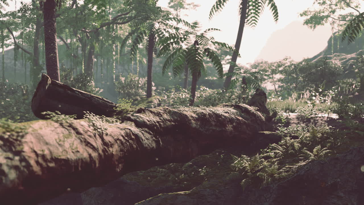쓰러진 나무 어리가 있는 조용한 정글 풍경