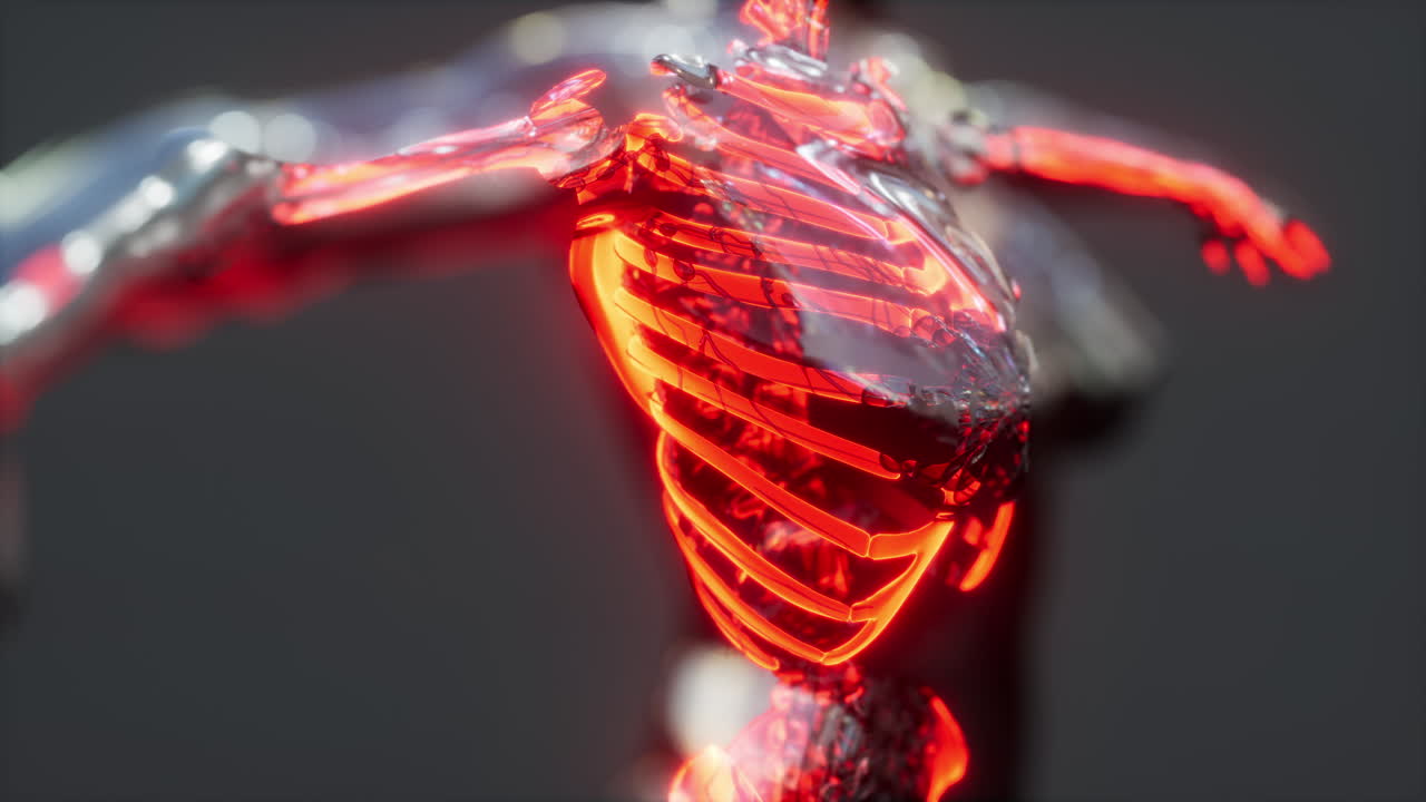 escáner médico de huesos y articulaciones del esqueleto humano