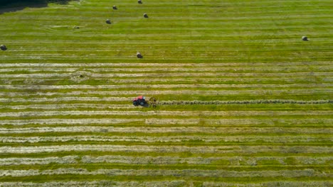 Aerial drone footage of a red tractor collecting freshly cut silage hay in the back of the tractor in a line with rotating paddles on a grassy green and sunny farm field with hay bale rolls visible