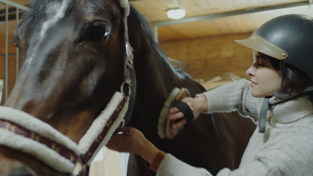 A person grooming a horse in a stable