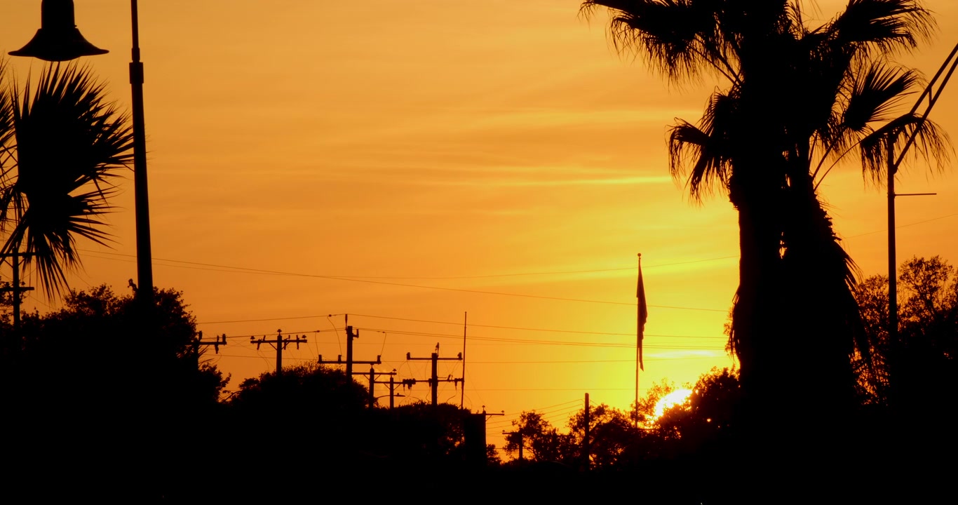 Dramatic golden sunset over power lines and palm trees