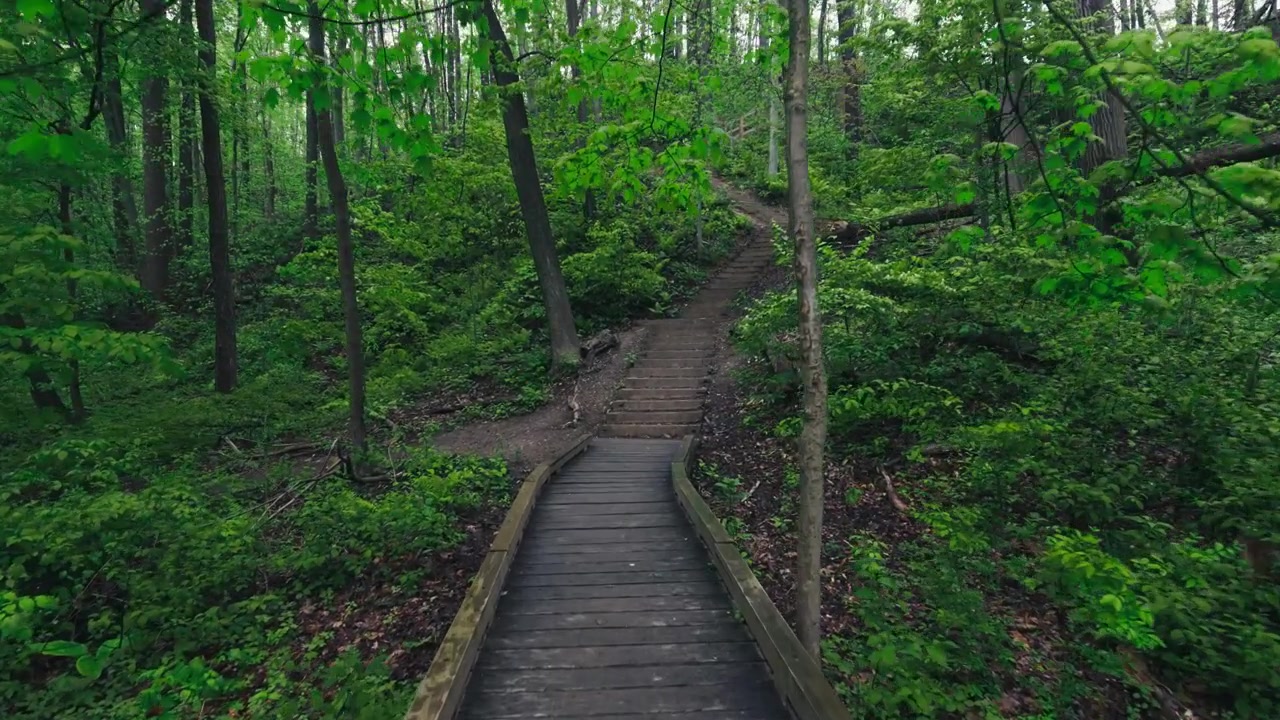 A wooden path through the forest, approaching a staircase in the forest.