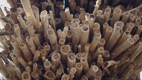 stacked firewood