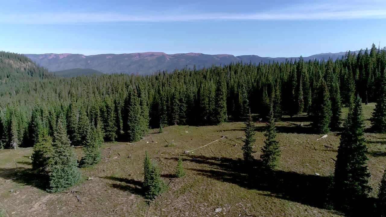 acantilados épicos rodean un bosque prácticamente intacto en las montañas de colorado.