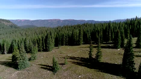 Epic-cliffs-surround-a-virtually-untouched-forest-in-the-mountains-of-Colorado