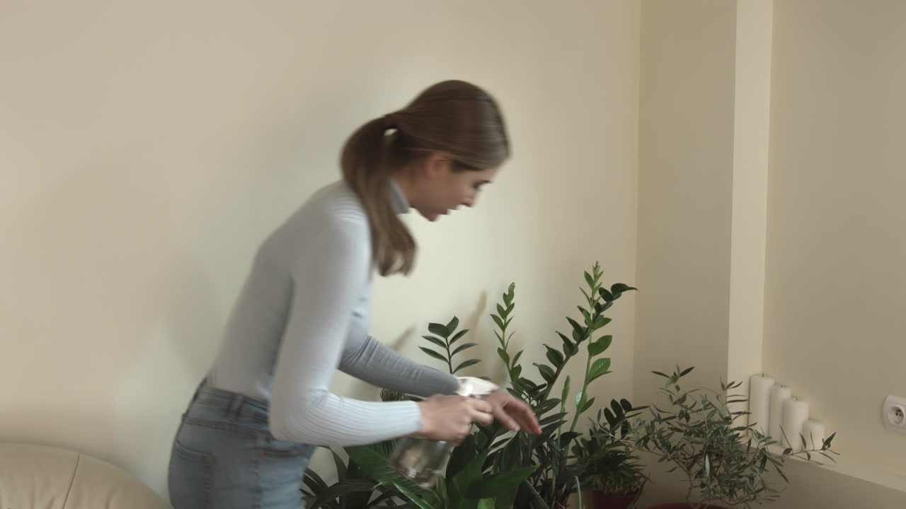 A young woman looks after her green plants at home. Spray the green leaves of exotic flowers with water