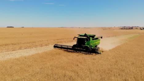 Un-Cautivador-Descenso-Con-Drones-Muestra-La-Cosechadora-En-Acción,-Mientras-Recolecta-Diligentemente-El-Precioso-Grano-De-Los-Abundantes-Campos.