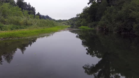 Flying-just-above-the-still-reflective-surface-of-the-Russian-River-near-Healdsburg,-California