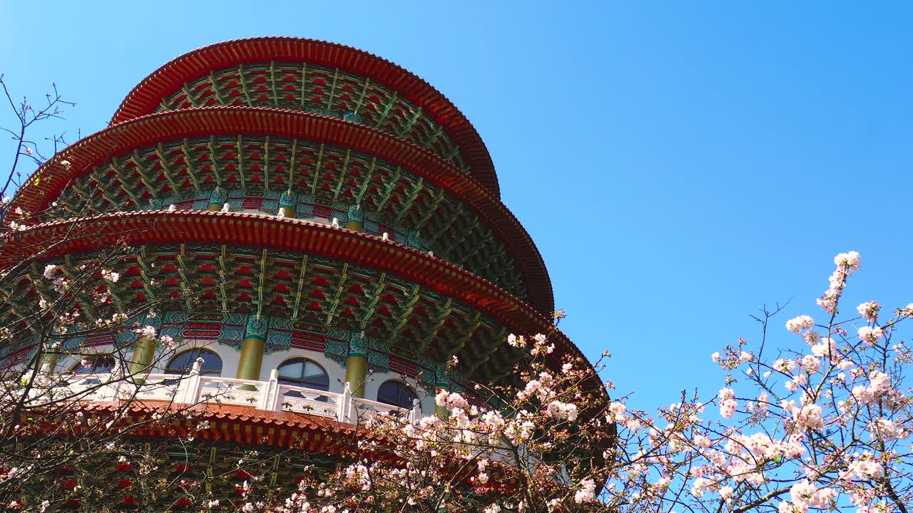 templo de tian yuan con flor de sakura rosada en taipei