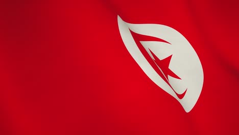 tunisia background flag texture waving - video loop seamless