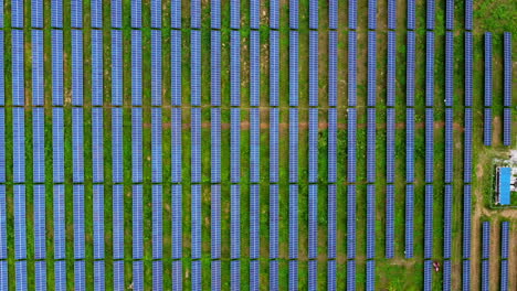 rows of modern photovoltaic solar panels in an ecological solar power farm