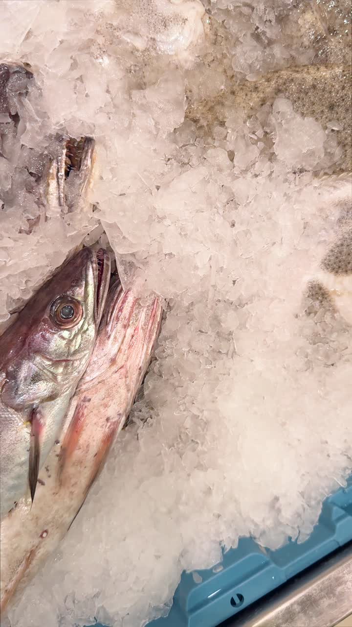 얼음 위의 신선한 생선