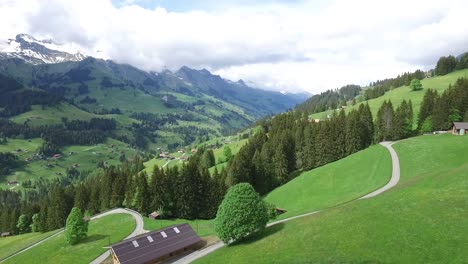 paisaje del valle de los alpes suizos