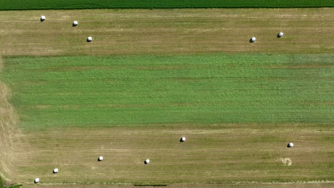 aerial top down shot of hay bales wrapped in foil on farm field with different pattern in sunlight - drone flyover