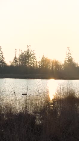 sunset over a lake and forest