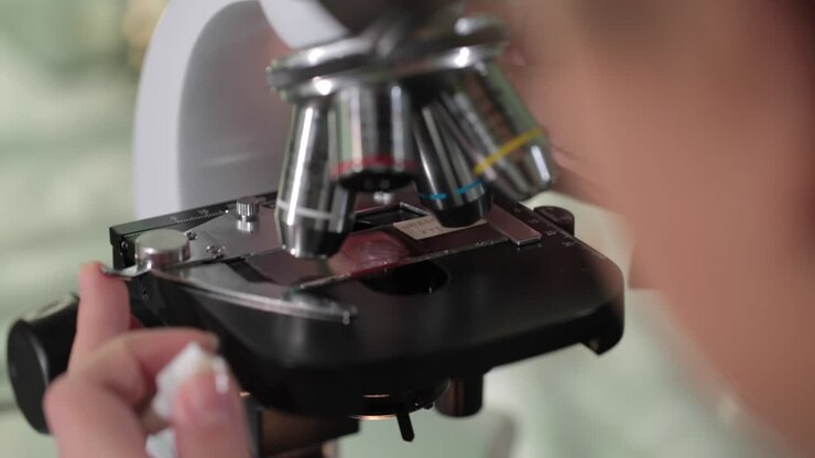 Microscope examination of a sample