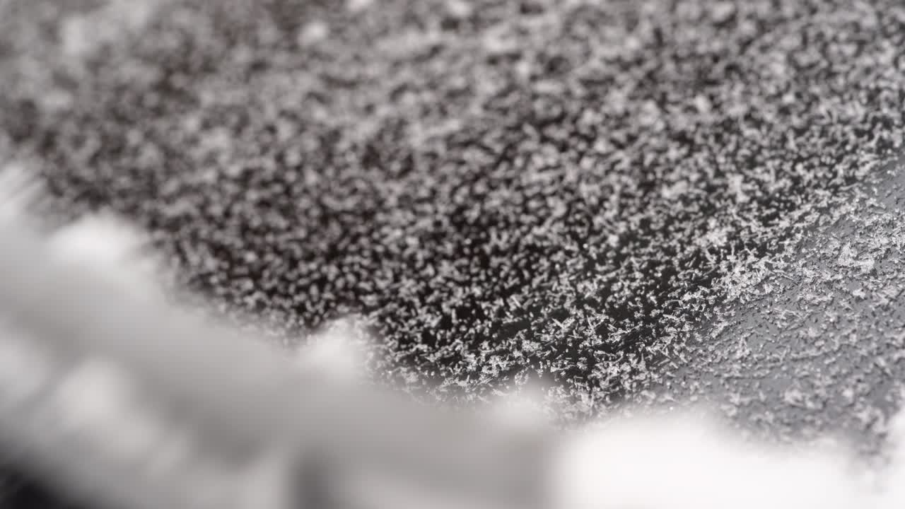 뉴저지 교외의 눈 내리는 날