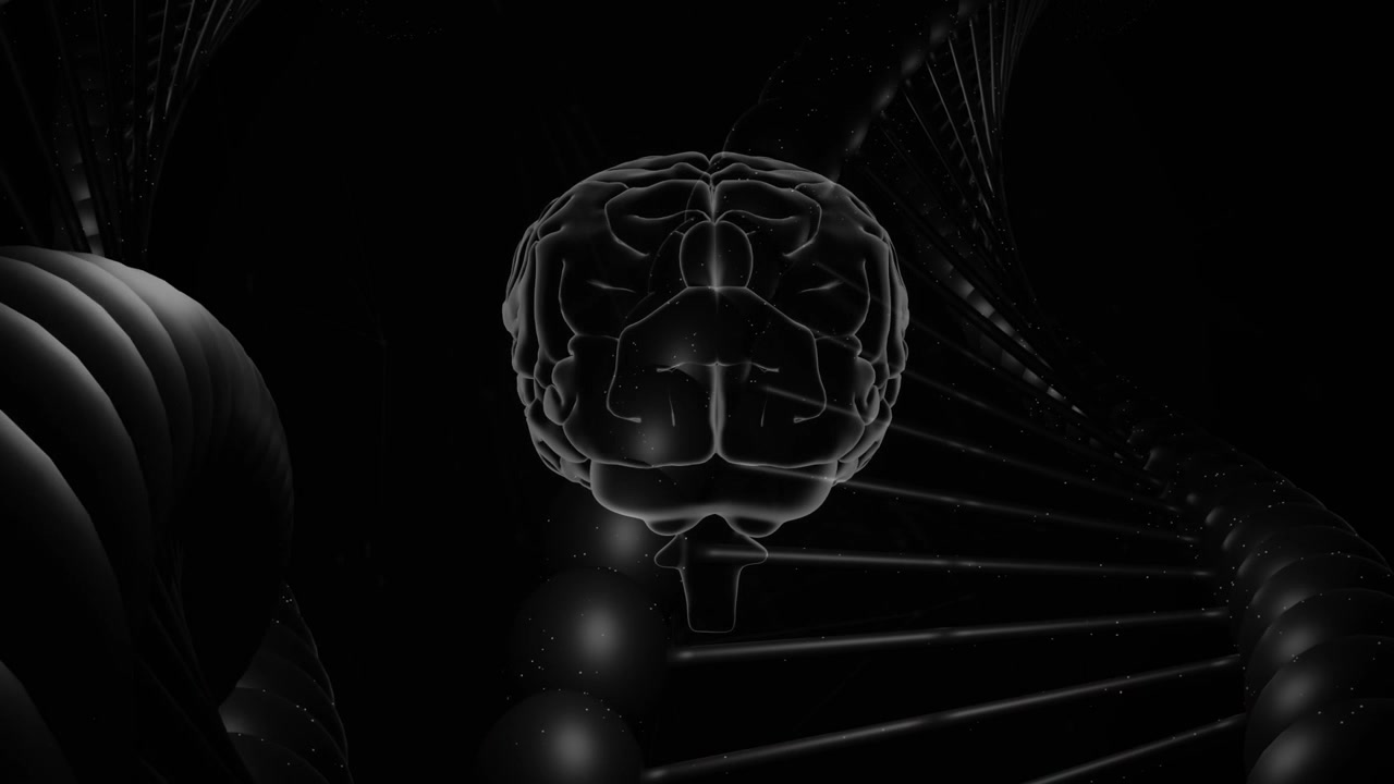 Camera shifting, clear brain rotating as helix lights tracing gyri, revealing surface for biotech