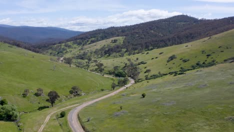 a car driving through the breathtaking beauty of the australian wilderness, where adventure and stunning landscapes await