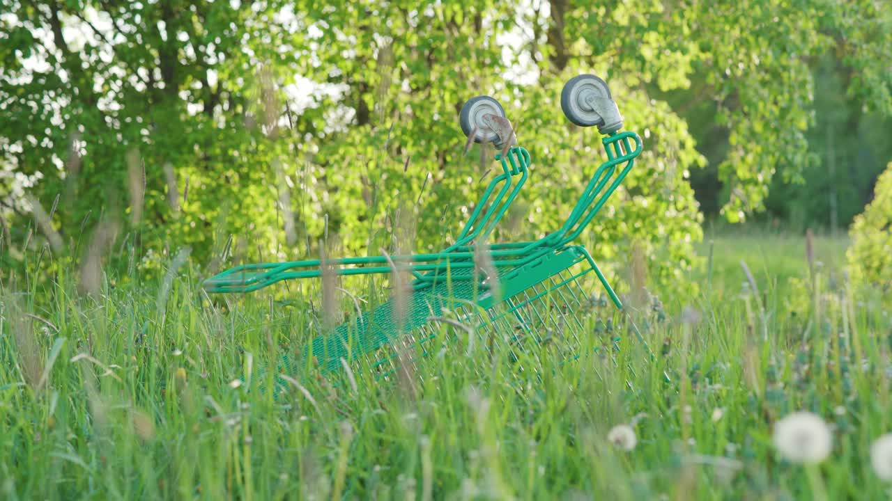 ⁇ 은 여름 저녁에 초원에서 버려진 쇼핑 카트