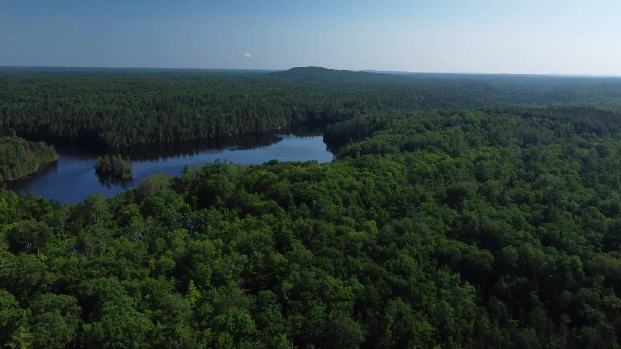 Flying Above Salmon Lake and Forests in Ontario, Canada