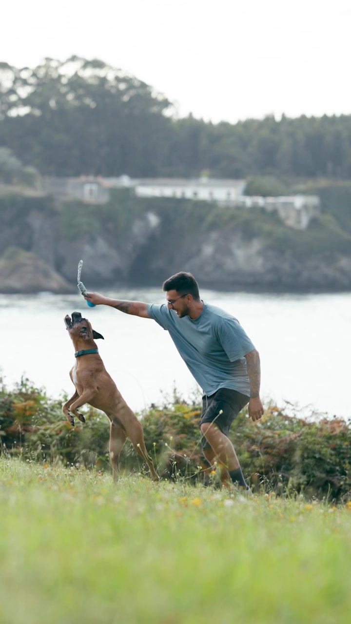 Man Playing with Boxer Dog on Grassy Hillside by the Sea