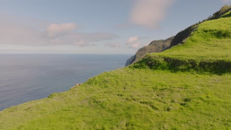 Drone-flight-over-the-cliffs-and-atlantic-ocean-in-Madeira-Portugal