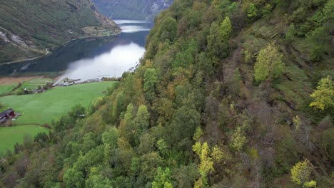 fiordo de geiranger en noruega en un día nublado