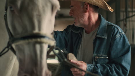 un hombre cuidando a un caballo en un establo