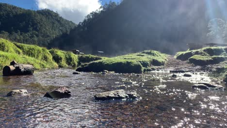 imágenes de un pequeño arroyo junto al lago zempoala en el centro de méxico