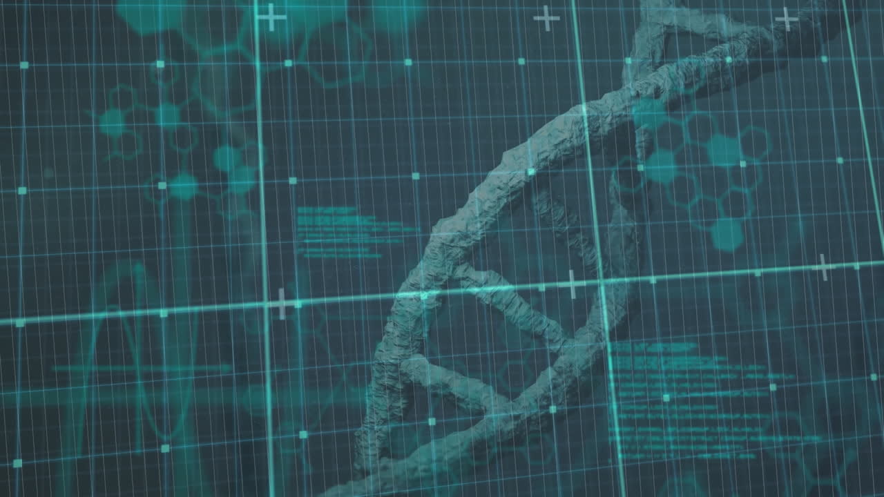 Animation of dna strand spinning and data processing over grid
